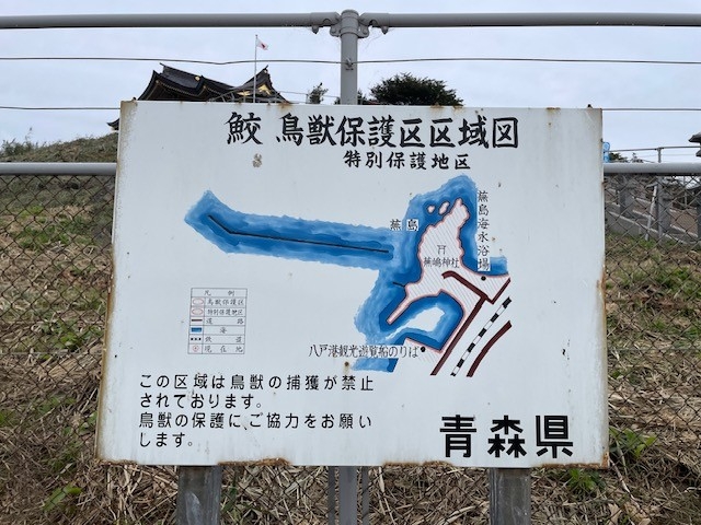鮫島.jpg