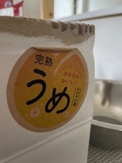 うめめめ.jpg